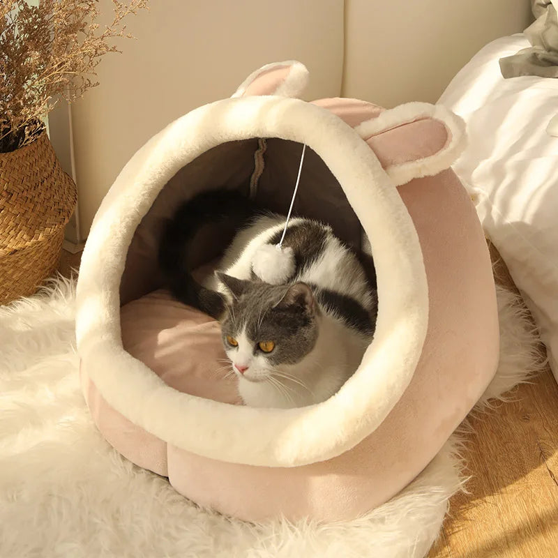 Adorable Cat Caves
