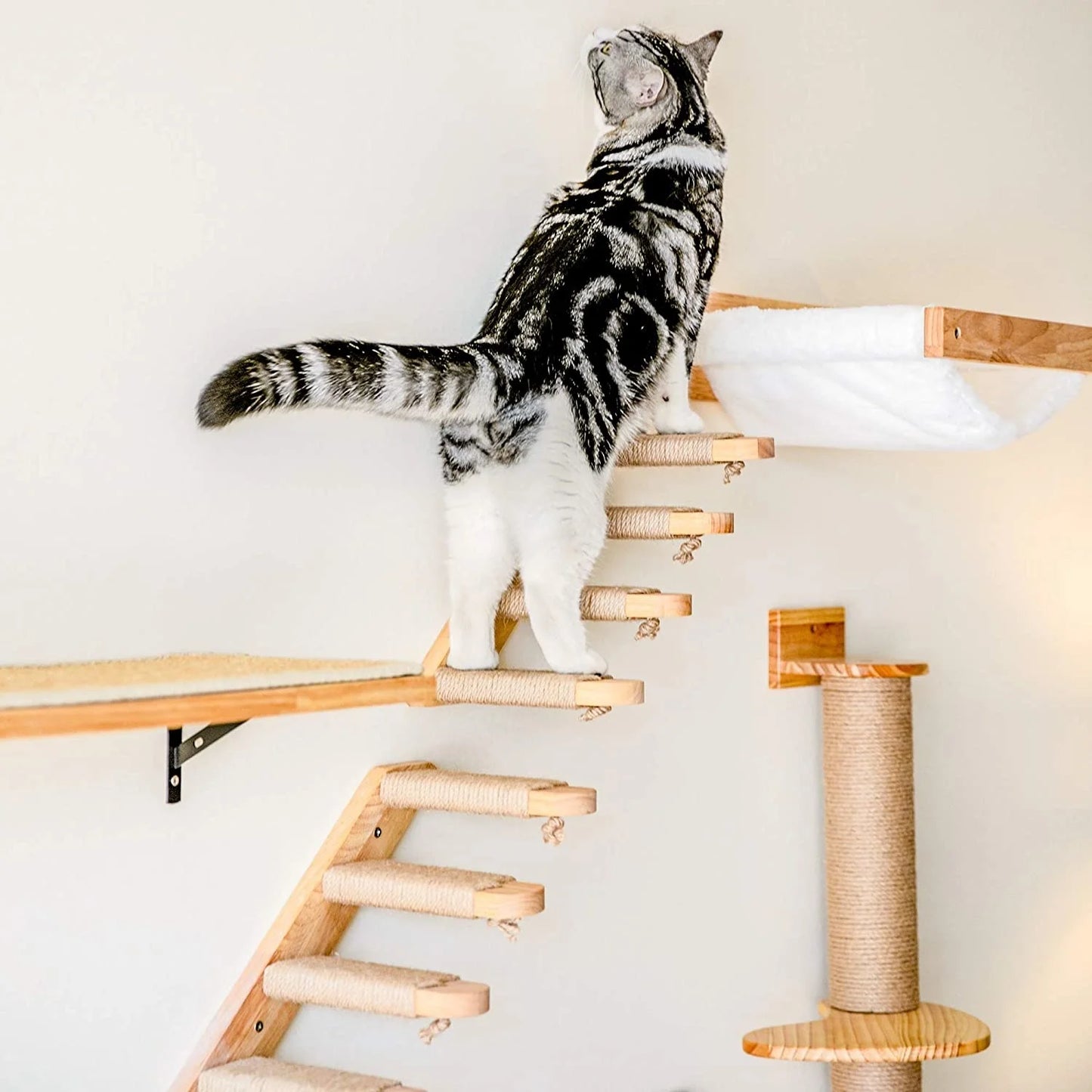 Wall Mounted Hammocks And Bed Furniture
