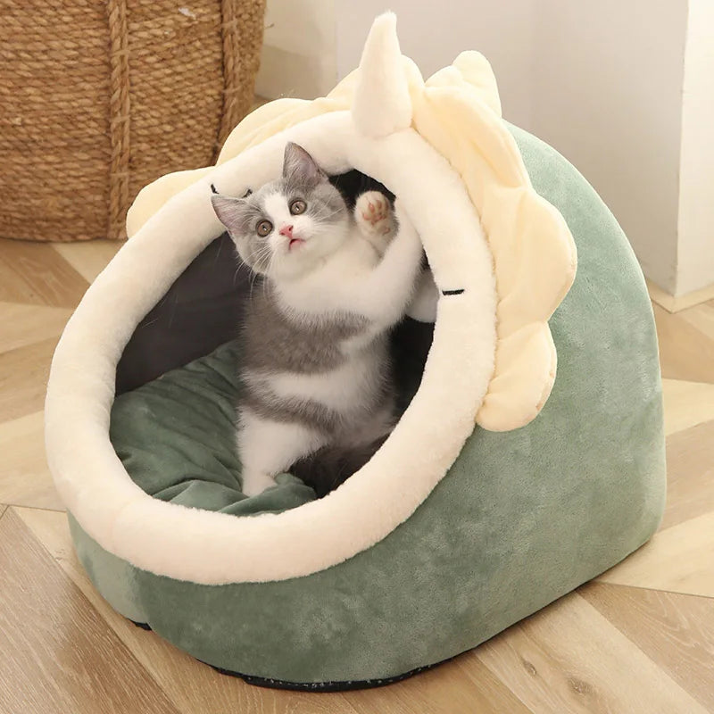 Adorable Cat Caves