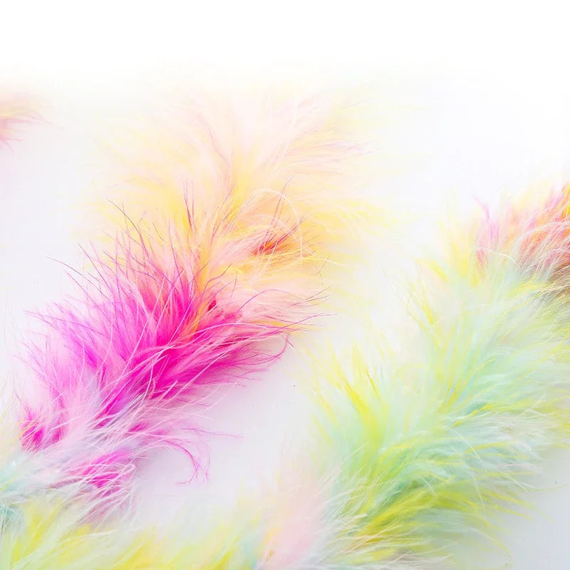 Colorful Feather Cat Toy