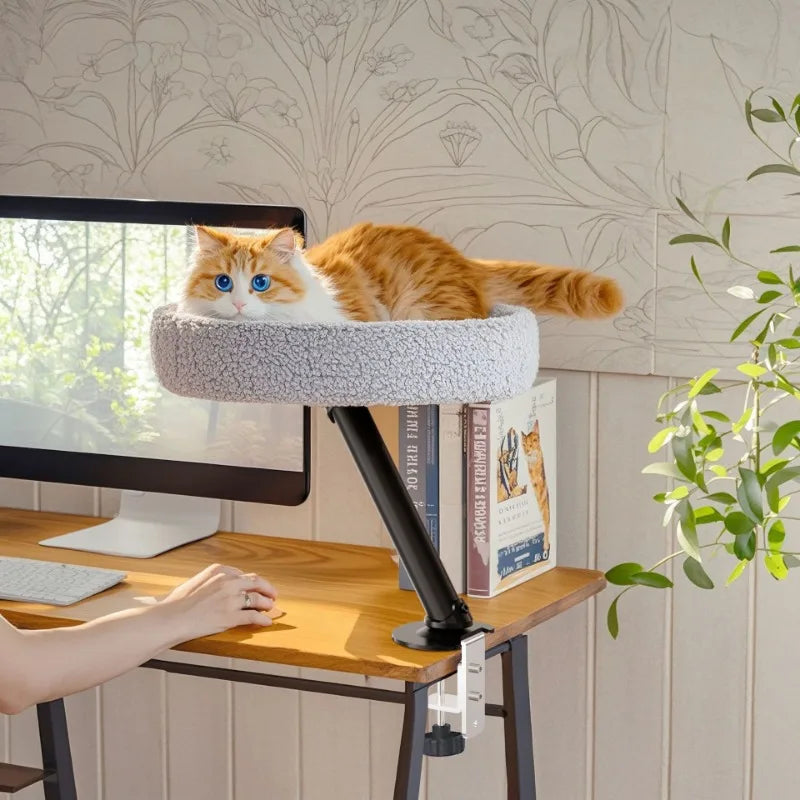Desktop Cat Bed