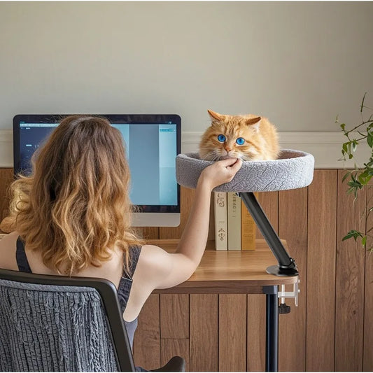 Desktop Cat Bed