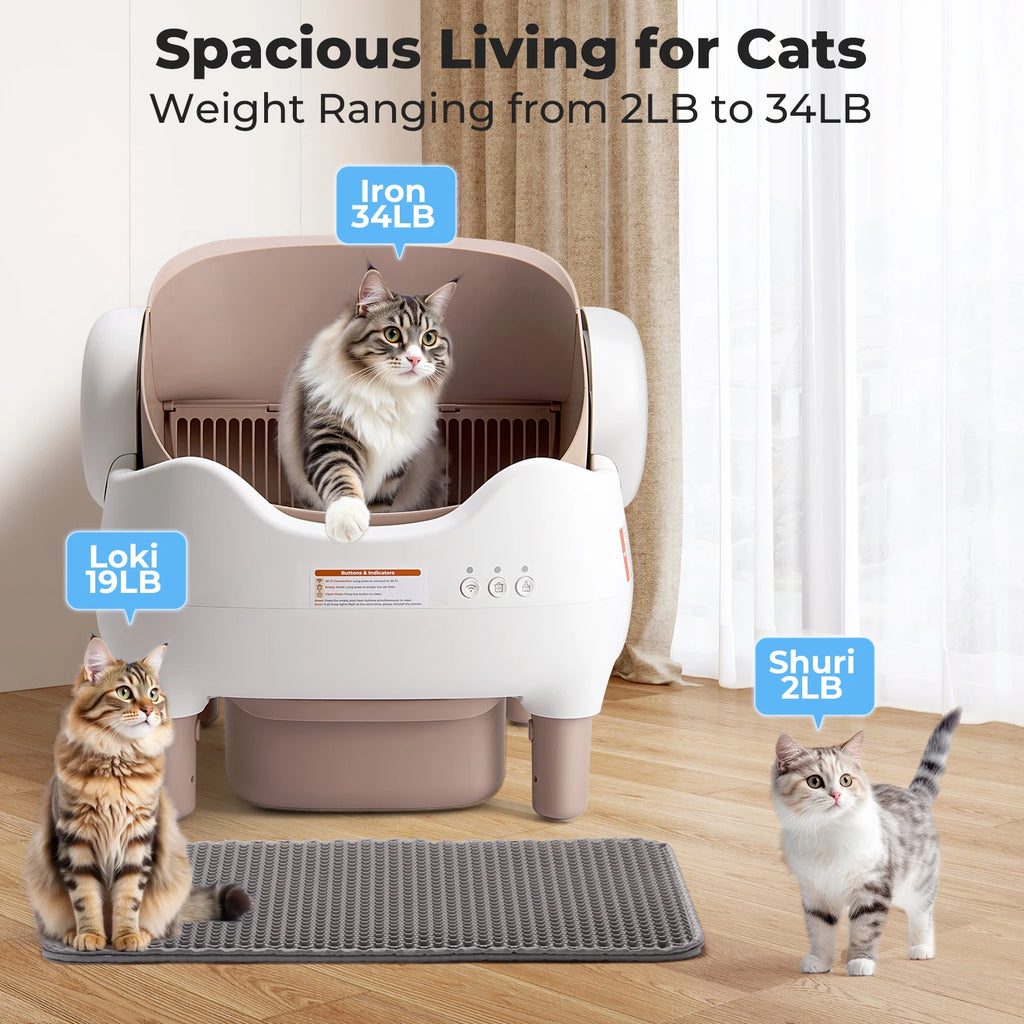 Open Top App Controlled Self Cleaning Litter Box