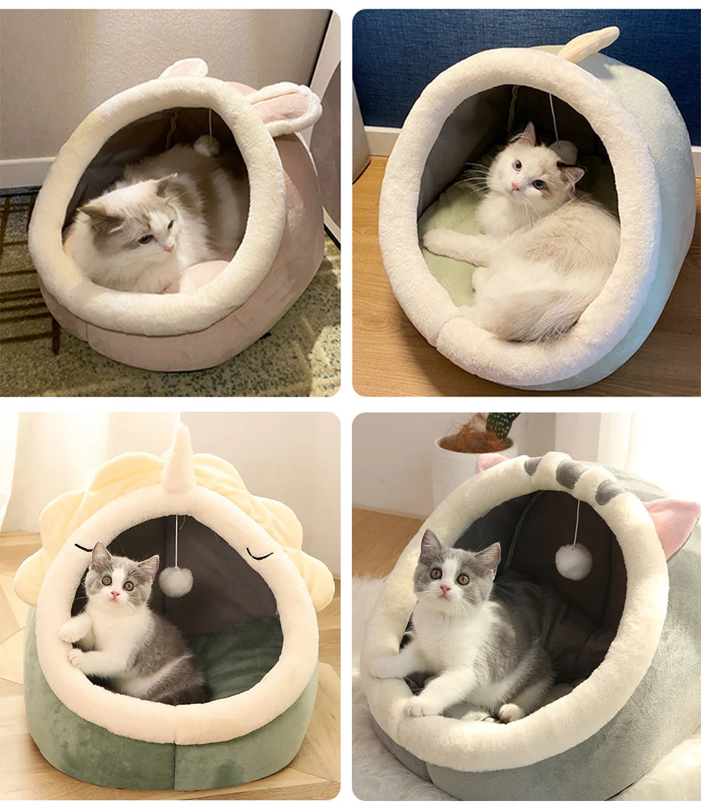 Adorable Cat Caves