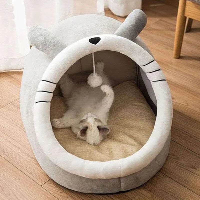Adorable Cat Caves