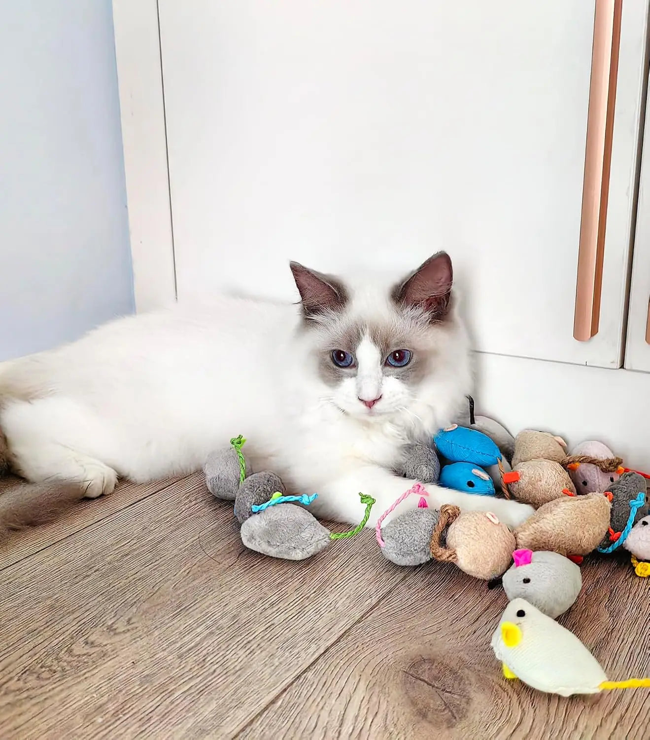 Rattle Cat Mouse Toys - Prefilled Catnip
